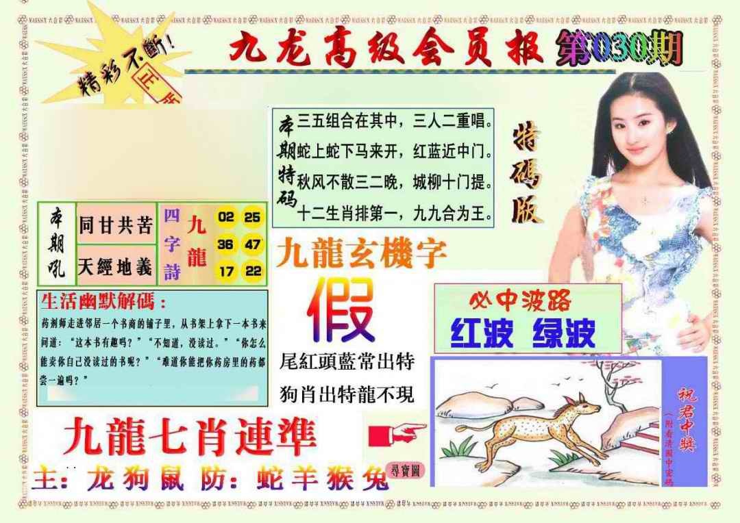 030期九龙高级会员报[图]